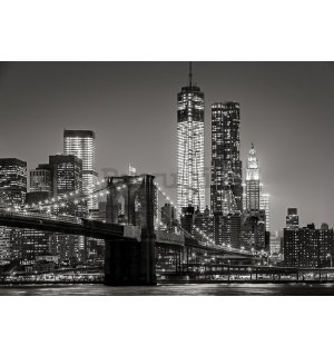 Fotomurale in TNT: Brooklyn Bridge (4) - 254x368 cm