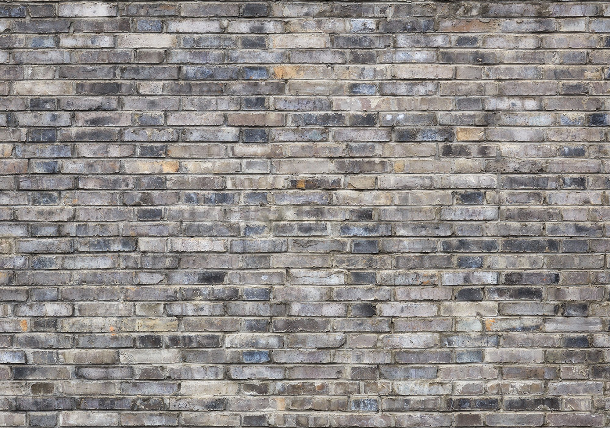 Fotomurale in TNT: Muro di mattoni (5) - 184x254 cm