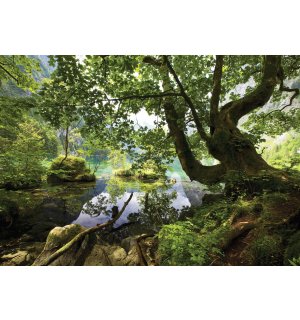 Fotomurale: Stagno nel bosco - 184x254 cm