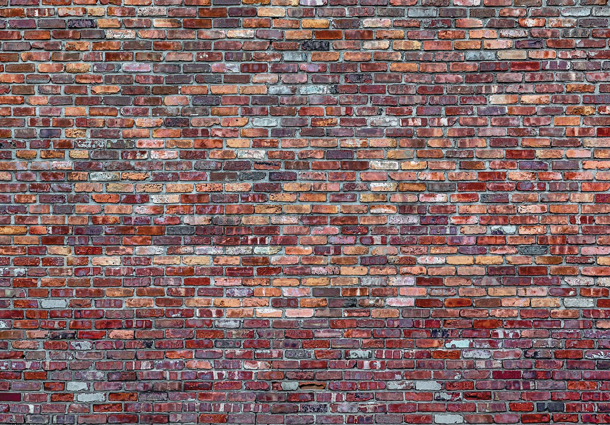 Fotomurale in TNT: Muro di mattoni (4) - 254x368 cm