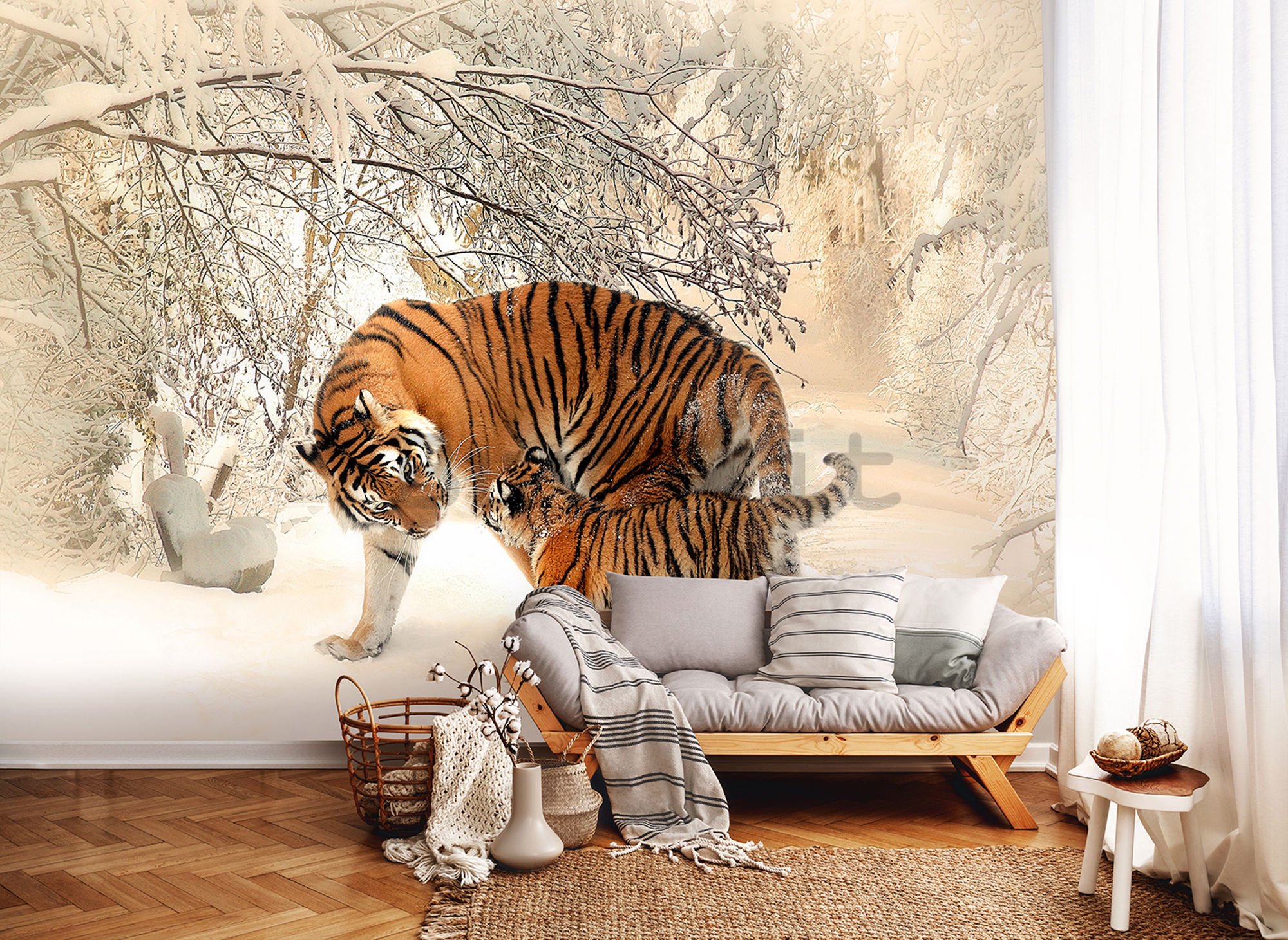 Fotomurale: Tigri (1) - 254x368 cm