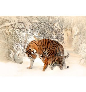 Fotomurale in TNT: Tigri (1) - 254x368 cm