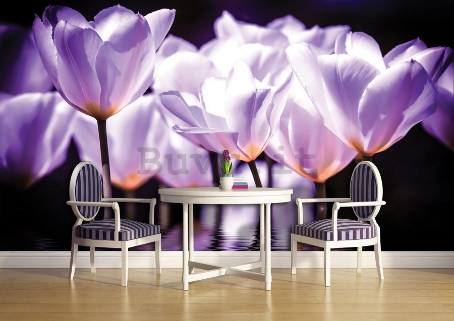 Fotomurale: Tulipani viola (2) - 184x254 cm