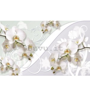 Fotomurale: Orchidea bianca (motivo) - 184x254 cm