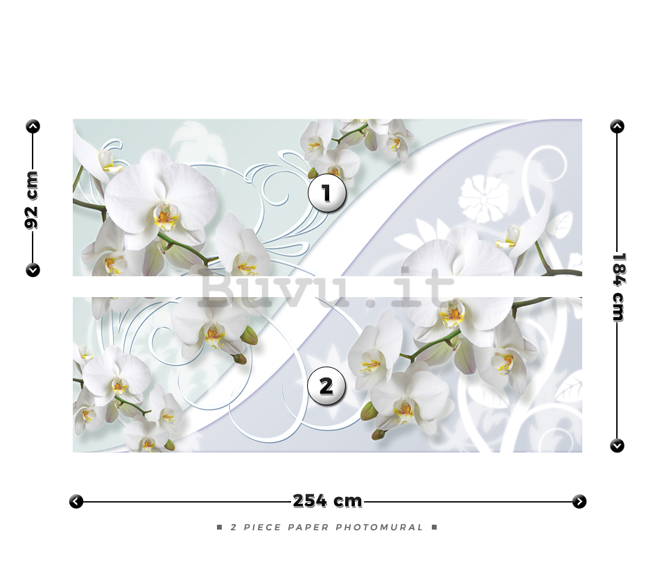 Fotomurale: Orchidea bianca (motivo) - 184x254 cm