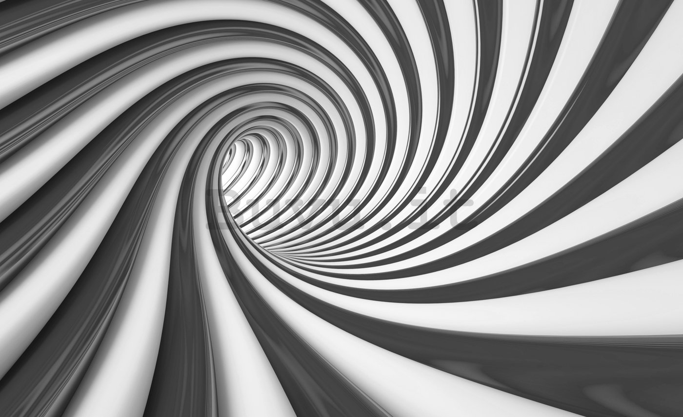 Fotomurale: Spirale nera - 184x254 cm