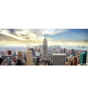 Fotomurale: Vista di New York - 104x250 cm
