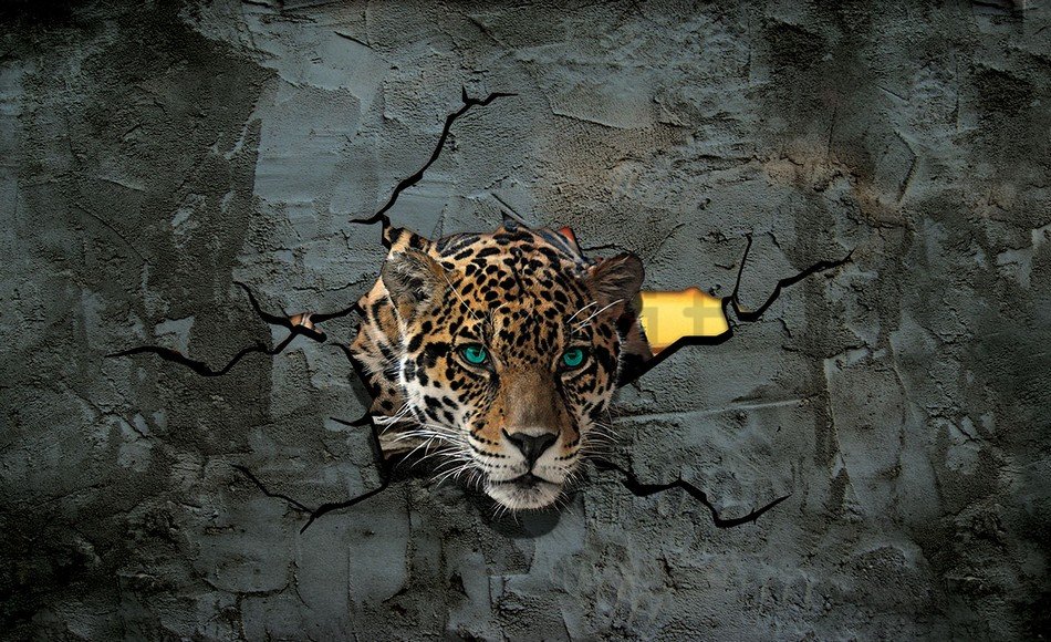 Fotomurale: Ghepardo nella parete - 184x254 cm