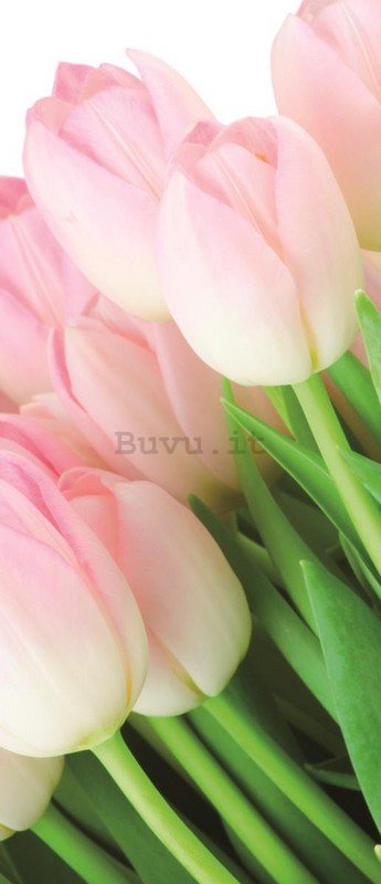 Fotomurale: Bouquet di tulipani - 211x91 cm