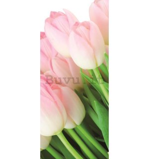Fotomurale: Bouquet di tulipani - 211x91 cm