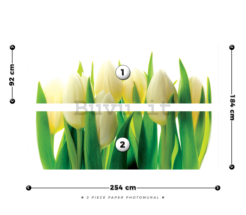 Fotomurale: Tulipani bianchi (1) - 184x254 cm