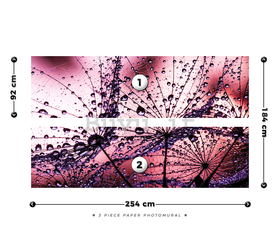Fotomurale: Gocce di pioggia (1) - 184x254 cm