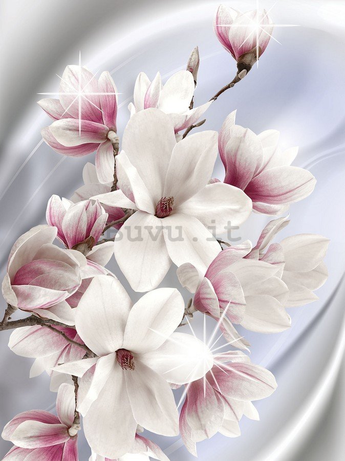 Fotomurale: Magnolia (1) - 254x184 cm