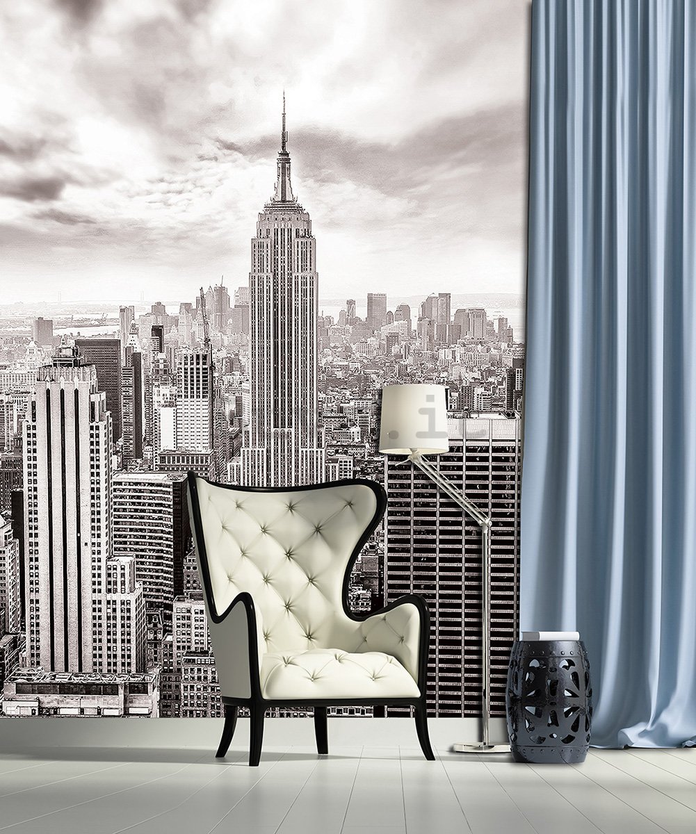 Fotomurale: Vista di New York (in bianco e nero) - 254x184 cm