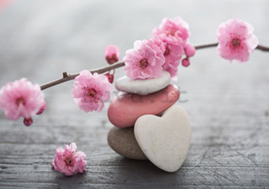 Fotomurale: Ciliegio in fiore e cuore - 184x254 cm
