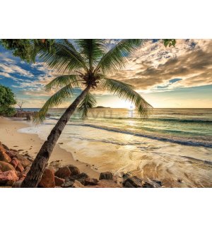 Fotomurale: Paradiso tropicale (2) - 184x254 cm