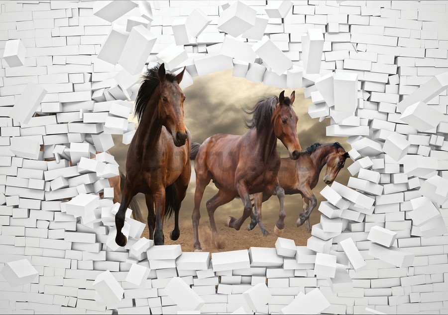 Fotomurale in TNT: Cavalli nella parete - 184x254 cm