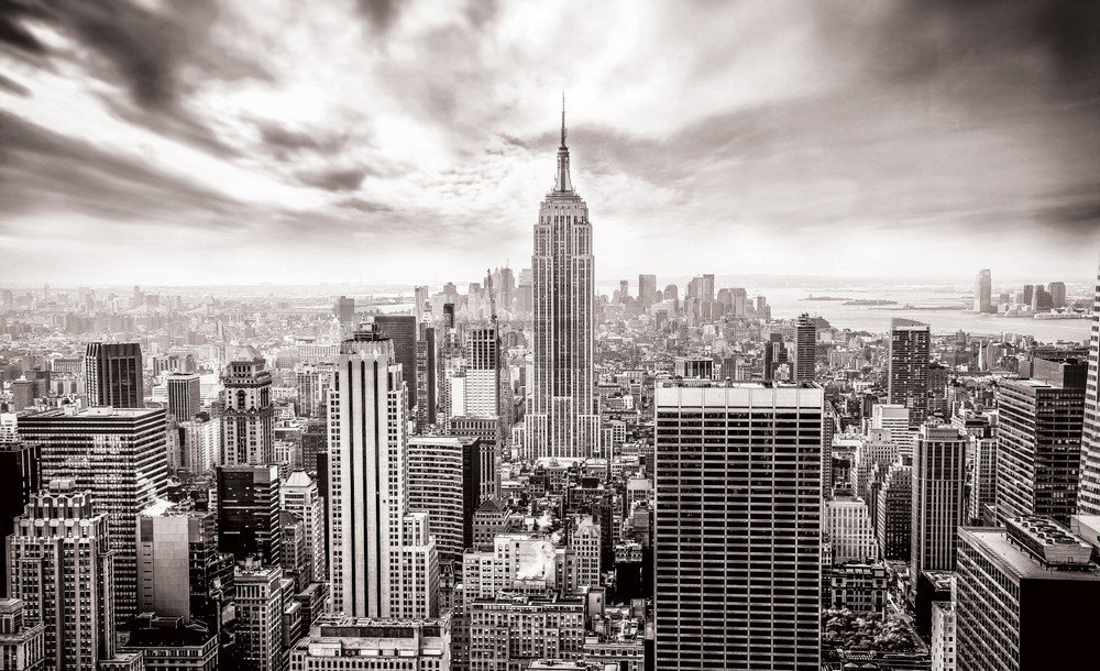 Fotomurale in TNT: Vista di New York (in bianco e nero) - 104x152,5 cm