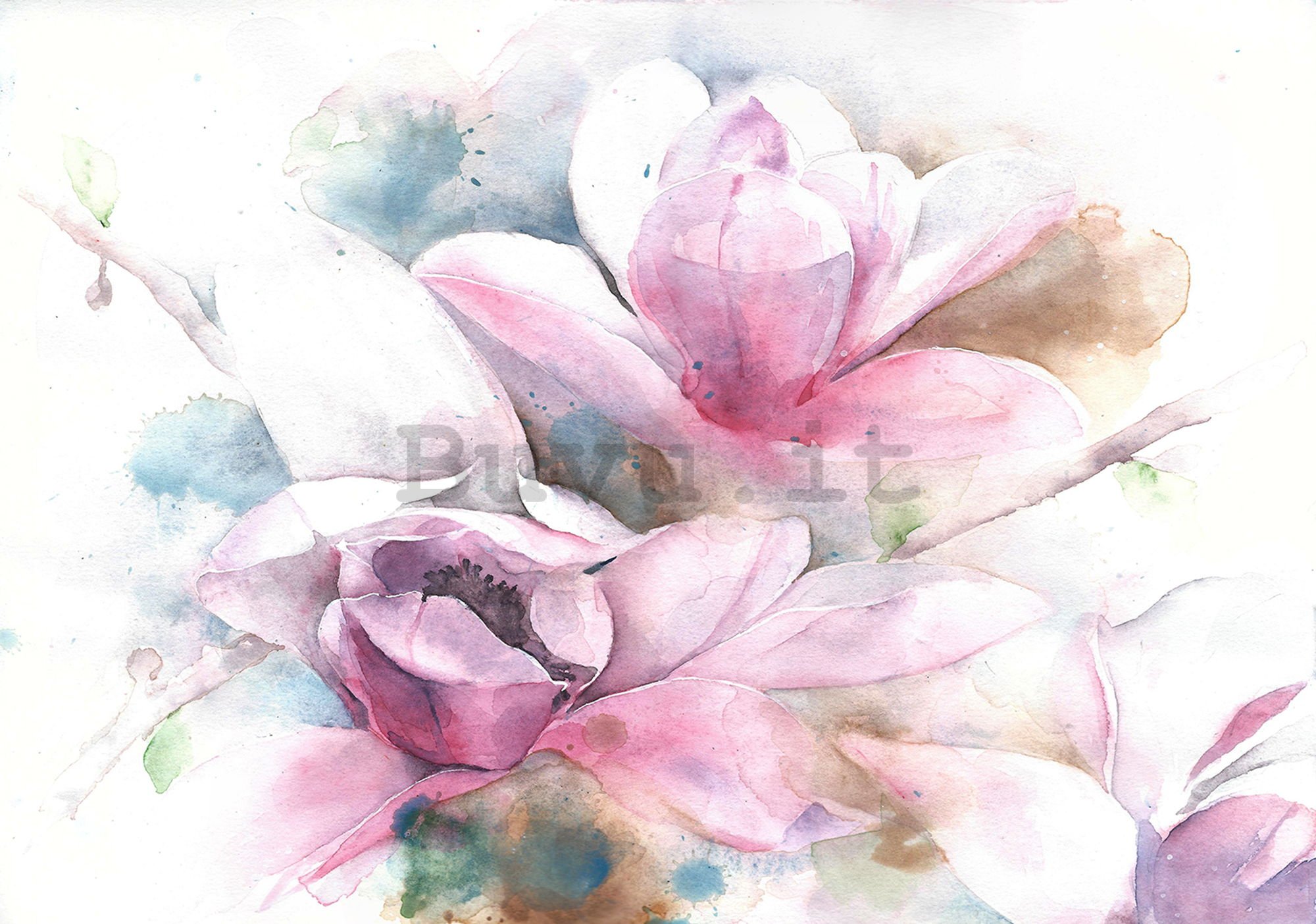 Fotomurale: Magnolia (dipinta) - 254x368 cm