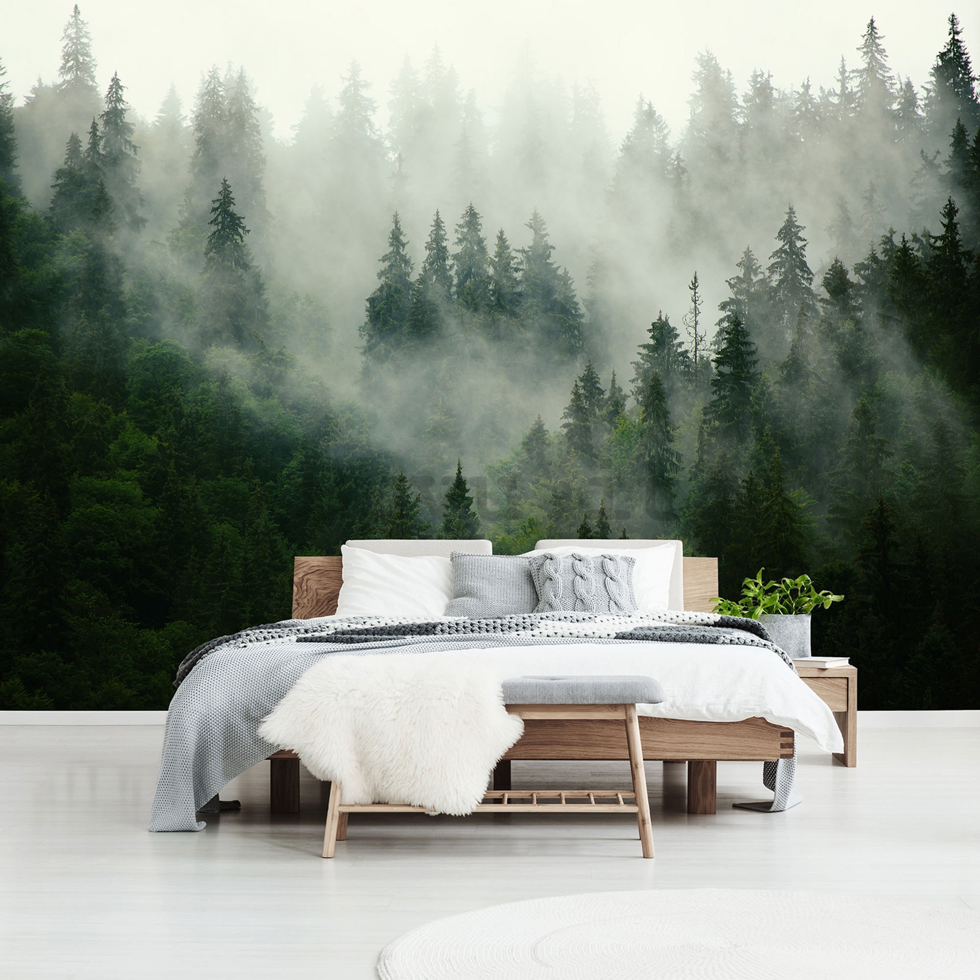 Fotomurale in TNT: Nebbia sul bosco (1) - 254x368 cm