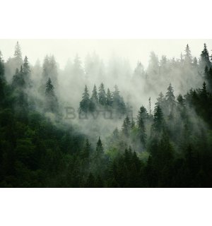 Fotomurale in TNT: Nebbia sul bosco (1) - 254x368 cm