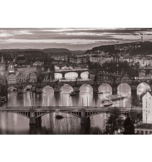 Quadro su tela: Praga (in bianco e nero) - 75x100 cm
