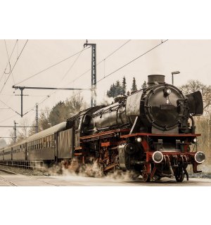 Quadro su tela: Locomotiva a vapore (1) - 75x100 cm