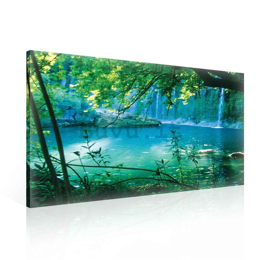 Quadro su tela: Lago e cascata - 75x100 cm