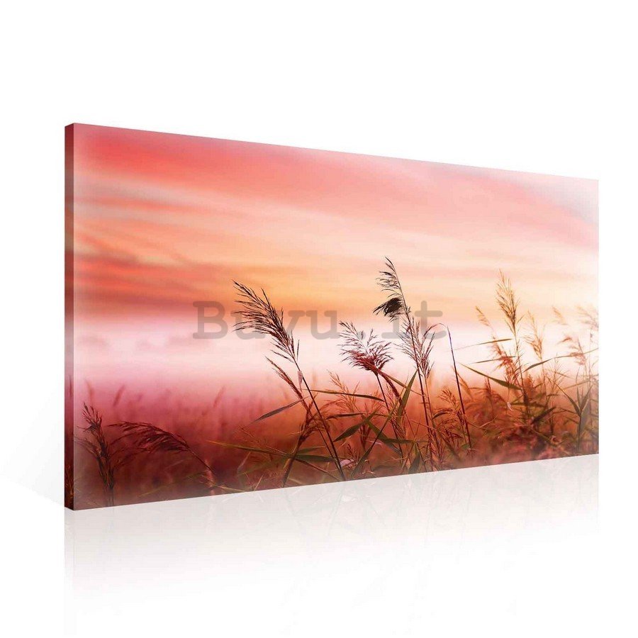 Quadro su tela: Prato (tramonto) - 75x100 cm