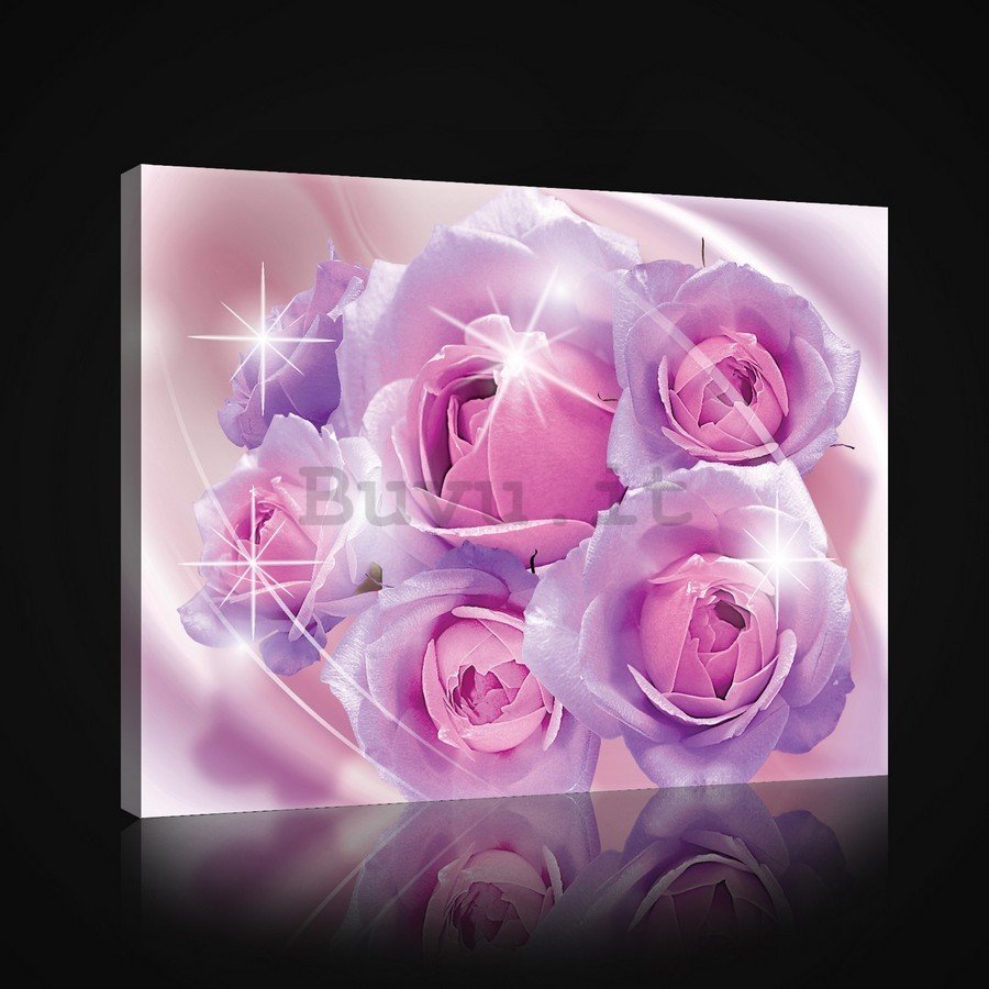 Quadro su tela: Rose rosa - 75x100 cm