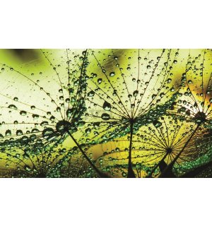 Quadro su tela: Gocce di pioggia (2) - 75x100 cm