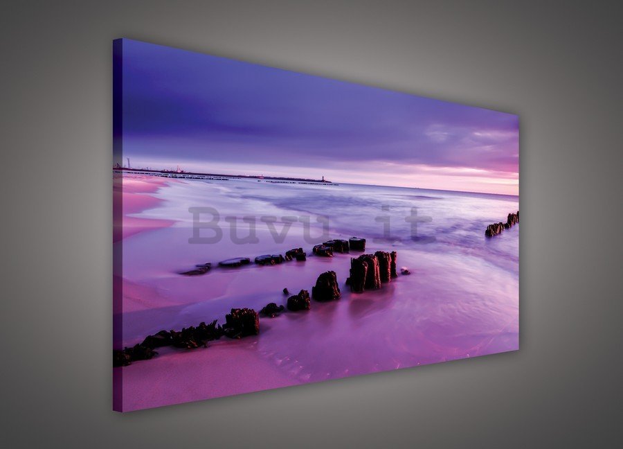 Quadro su tela: Tramonto viola sulla spiaggia - 75x100 cm