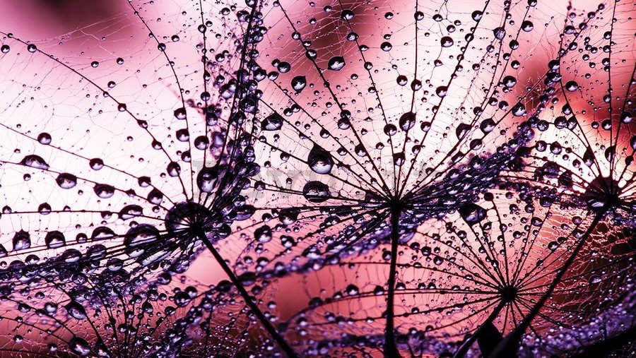 Quadro su tela: Gocce di pioggia (1) - 75x100 cm