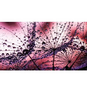 Quadro su tela: Gocce di pioggia (1) - 75x100 cm