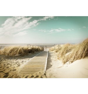 Quadro su tela: Sentiero sulla spiaggia (8) - 75x100 cm