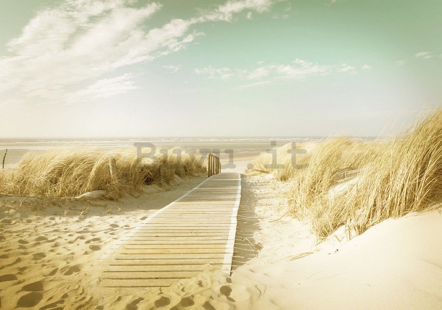 Quadro su tela: Sentiero sulla spiaggia (12) - 75x100 cm