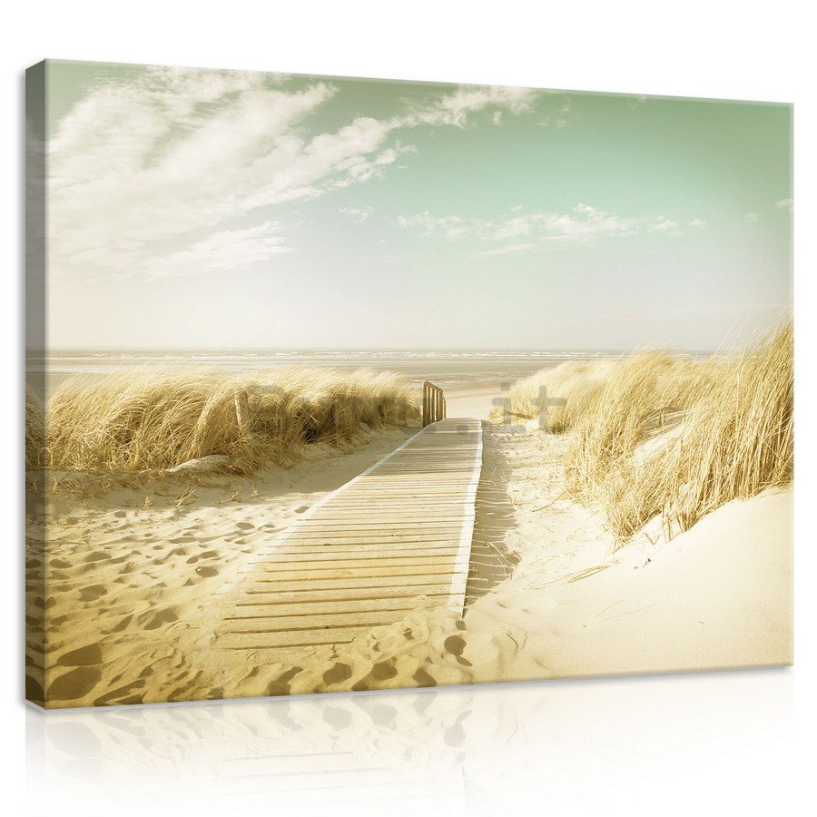 Quadro su tela: Sentiero sulla spiaggia (12) - 75x100 cm