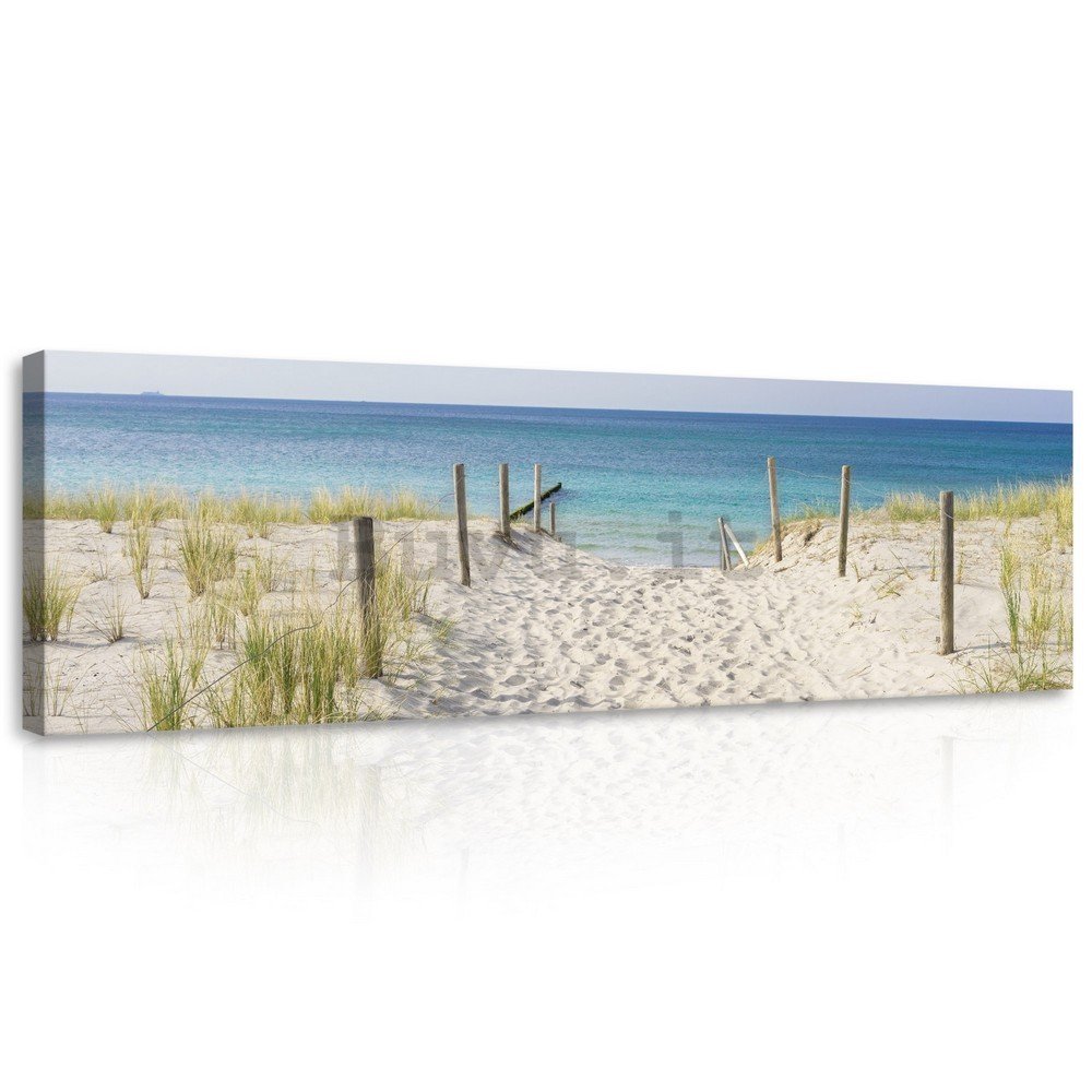 Quadro su tela: Sentiero sulla spiaggia (3) - 145x45 cm