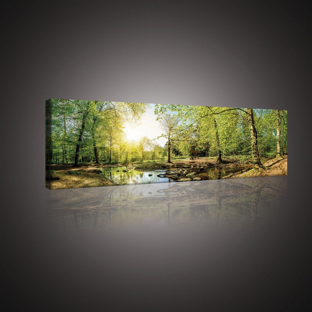 Quadro su tela: Ruscello nel bosco (3) - 145x45 cm