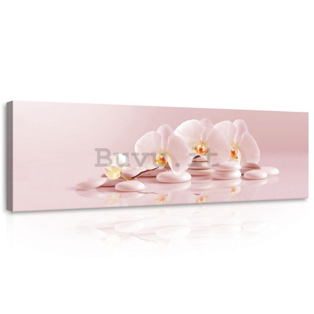 Quadro su tela: Orchidee rosa - 145x45 cm