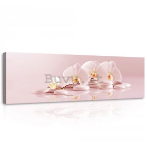 Quadro su tela: Orchidee rosa - 145x45 cm