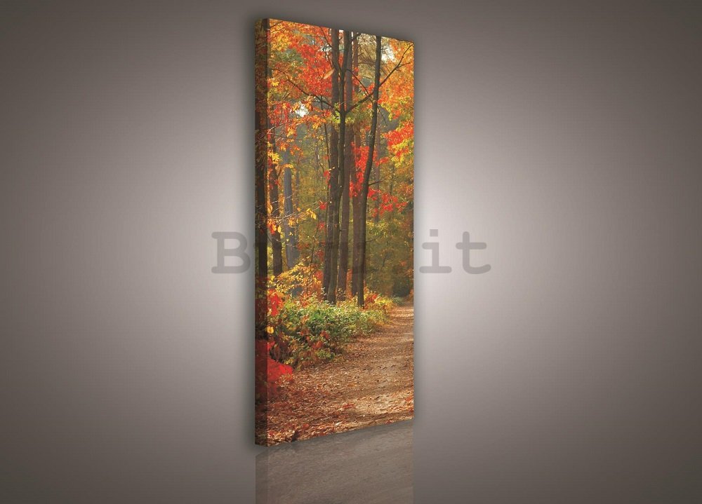 Quadro su tela: Bosco in autunno - 145x45 cm