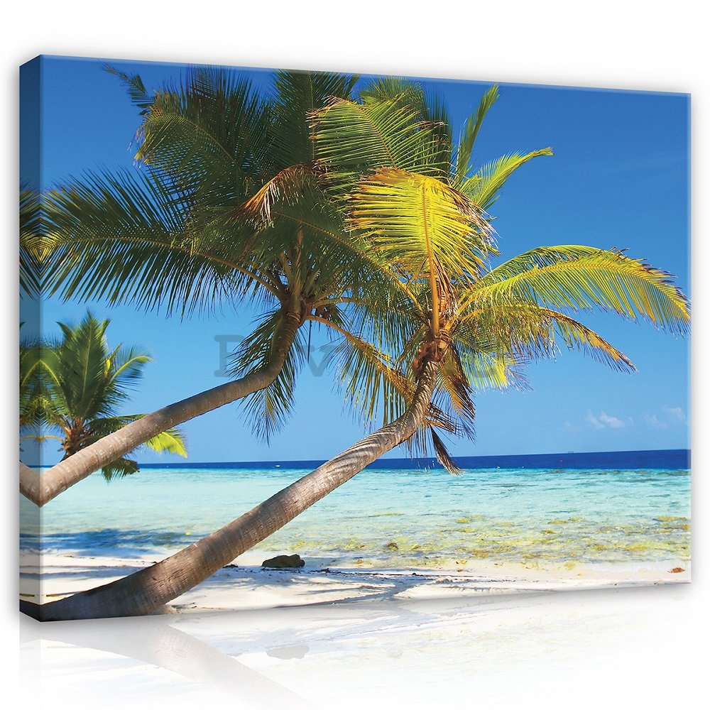 Quadro su tela: Spiaggia con palma - 75x100 cm