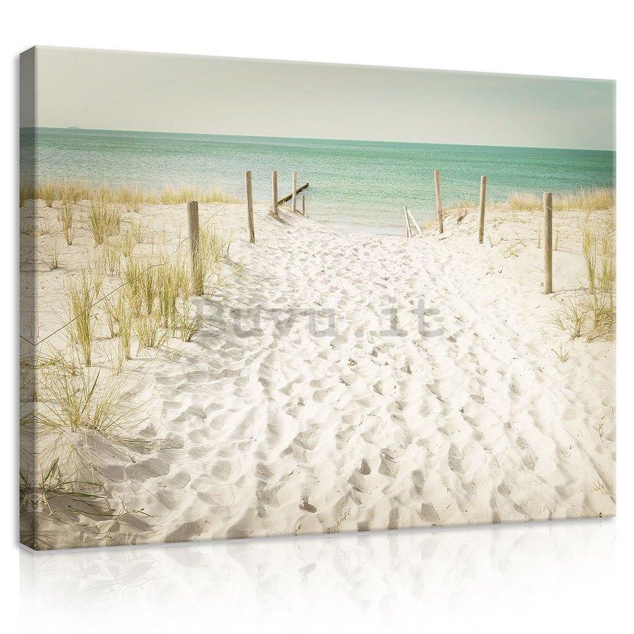 Quadro su tela: Sentiero sulla spiaggia (11) - 75x100 cm