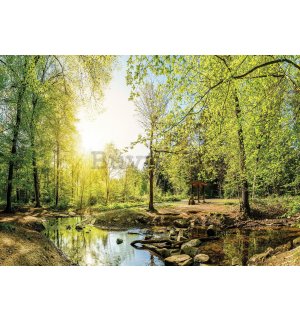 Fotomurale: Ruscello nel bosco (3) - 624x219 cm