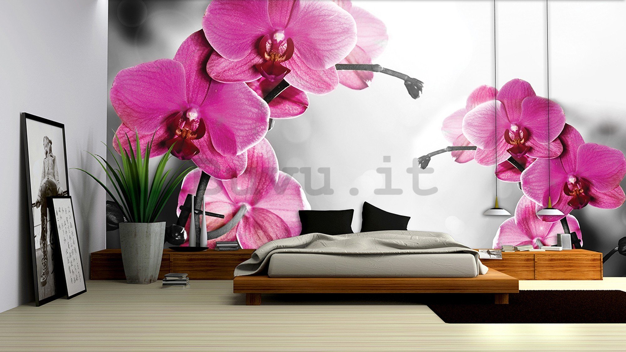 Fotomurale in TNT: Orchidea su sfondo grigio - 416x254 cm