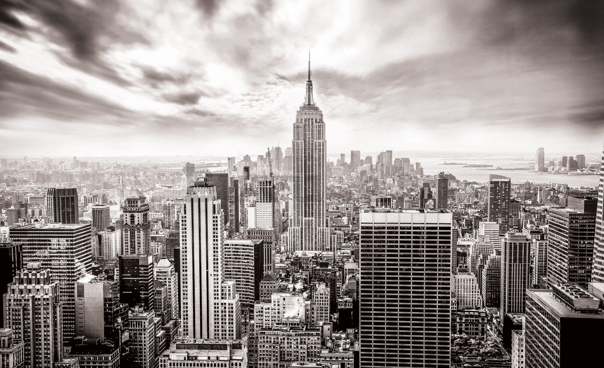 Fotomurale in TNT: Vista di New York (in bianco e nero) - 416x254 cm