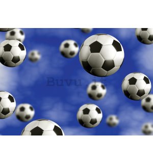 Fotomurale in TNT: Palloni da calcio - 416x254 cm