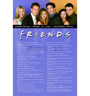 Poster - Friends (I Learned)