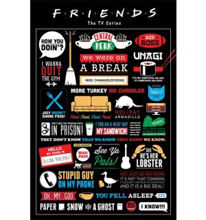 Poster - Friends (infografica)